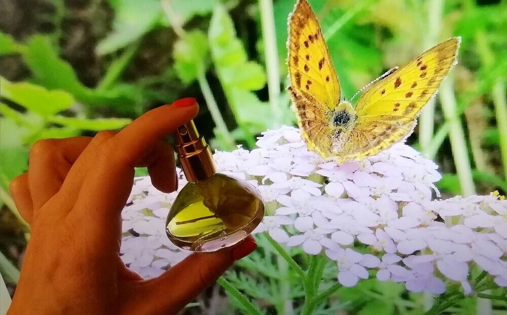 "Магия успеха" в магазине: https://www.livemaster.ru/topic/3660084