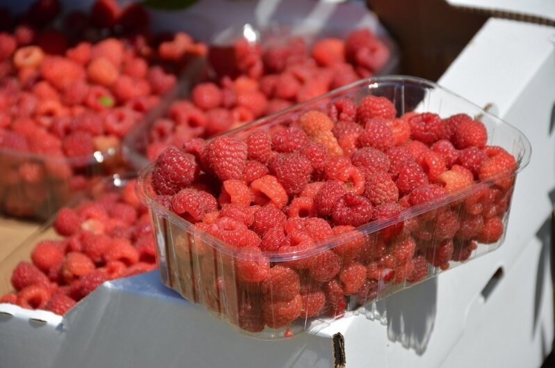 Фото: Министерство сельского хозяйства РФ