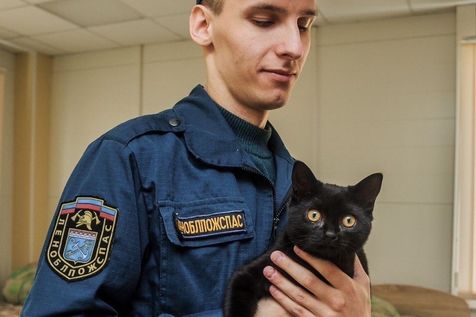     При себе у Уголька были черная шубка и синий ошейник. Фото: Комитет правопорядка и безопасности Ленобласти