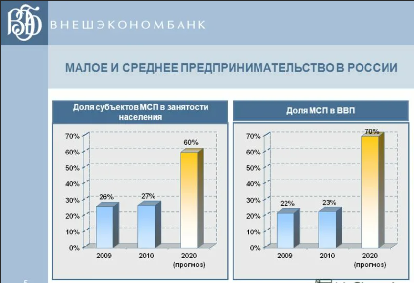 Доля в бизнес проекте