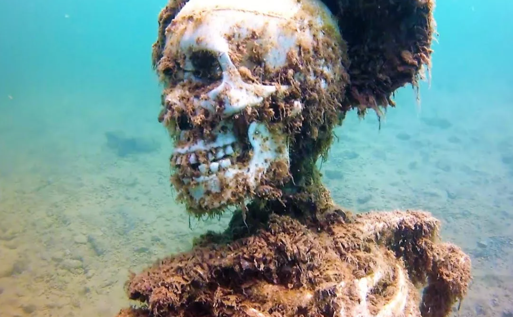 Источник: Яндекс-Картинки