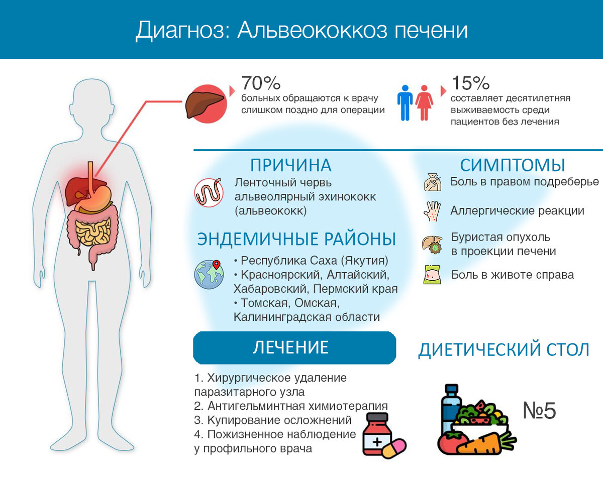 Паразитарные поражения печени (эхинококкоз, альвеококкоз)