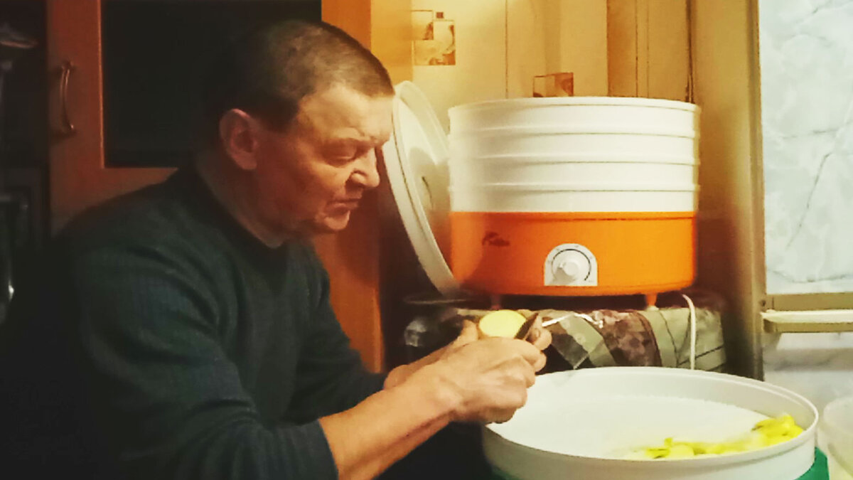 Сушка яблок в электросушилке