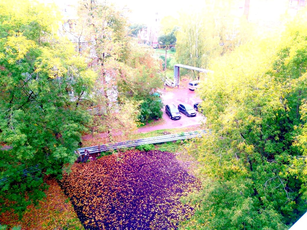 Вид из окна (фото автора)