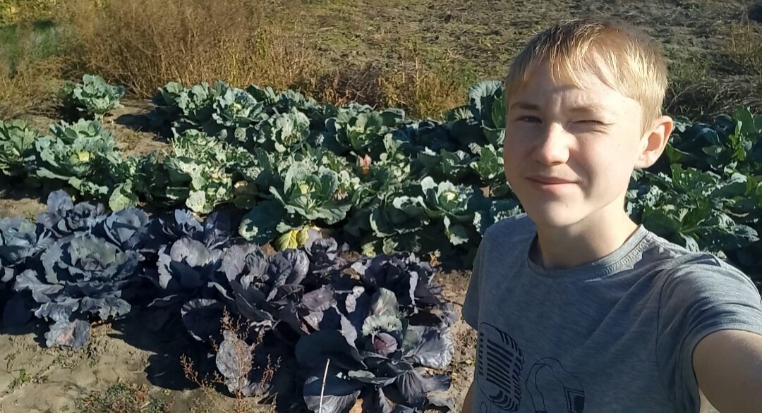 Деревенский дневник мальчика