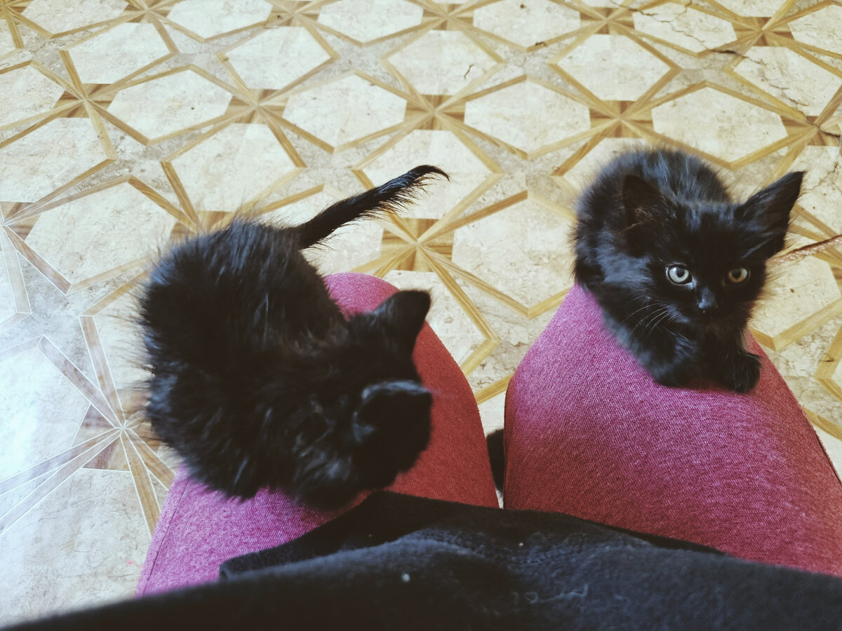 Напали на меня))