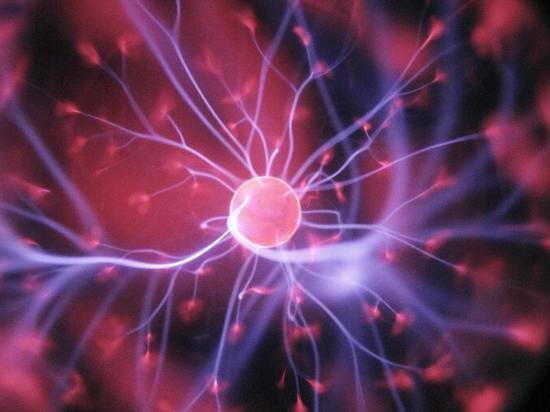     фото Hal Gatewood