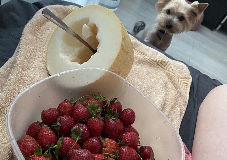    Фото: ИА SM-News