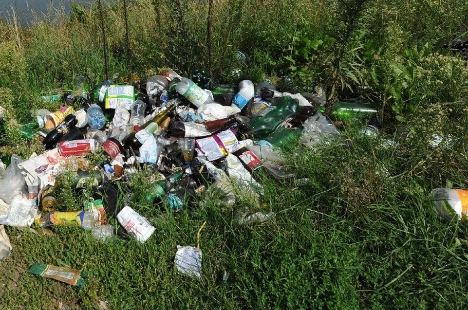     Россельхознадзор рекомендовал владельцу привести землю в порядок Владимир ВЕЛЕНГУРИН