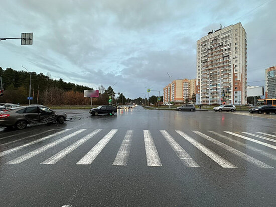     Фото: УМВД России по Томской области.
