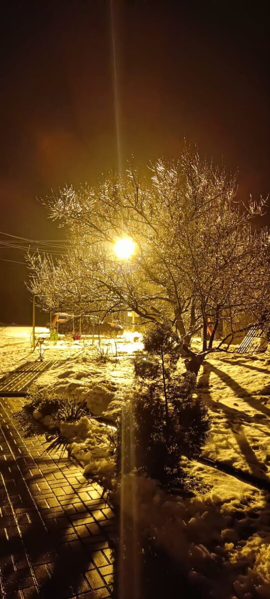 Наш вечерний двор. 