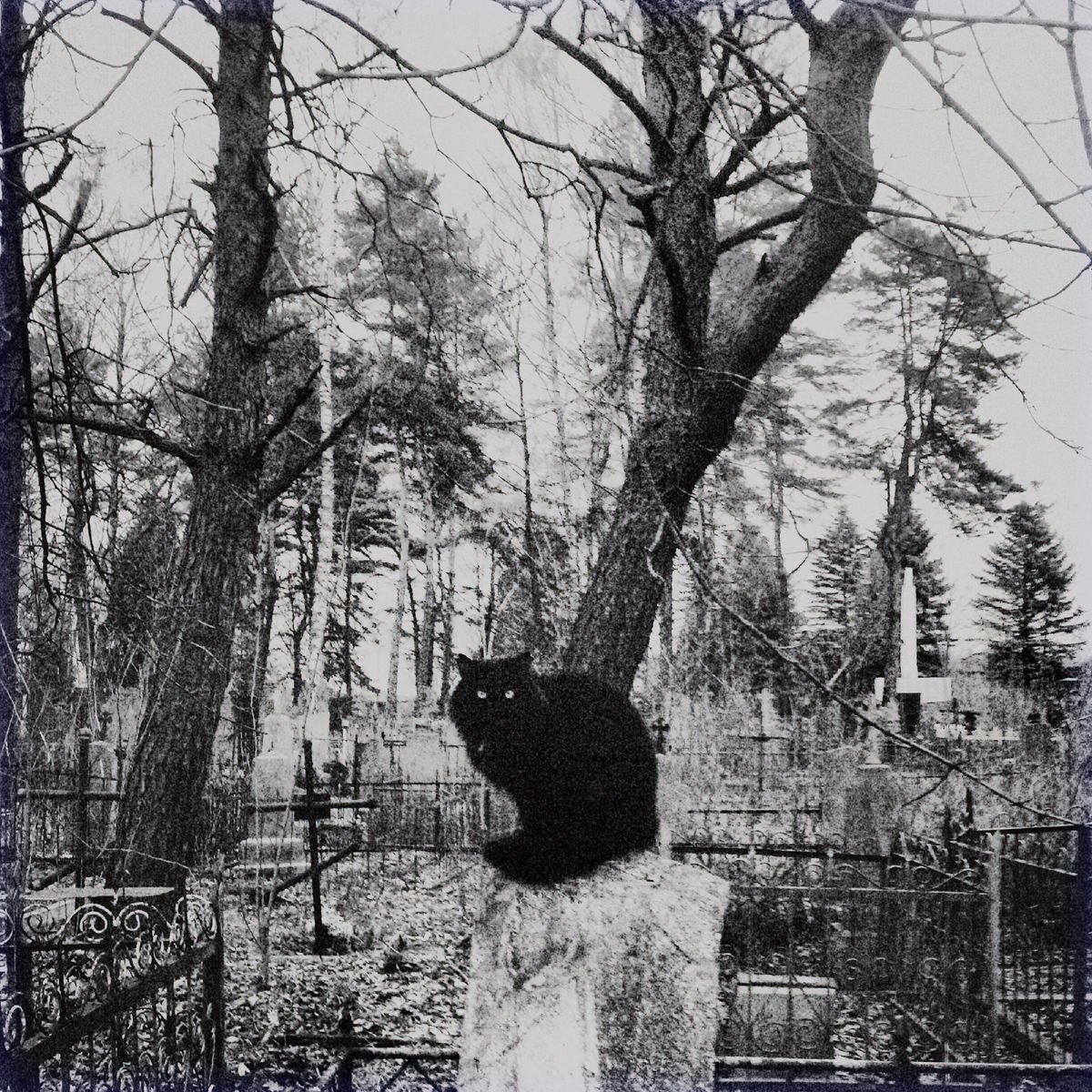 Фото из интернета