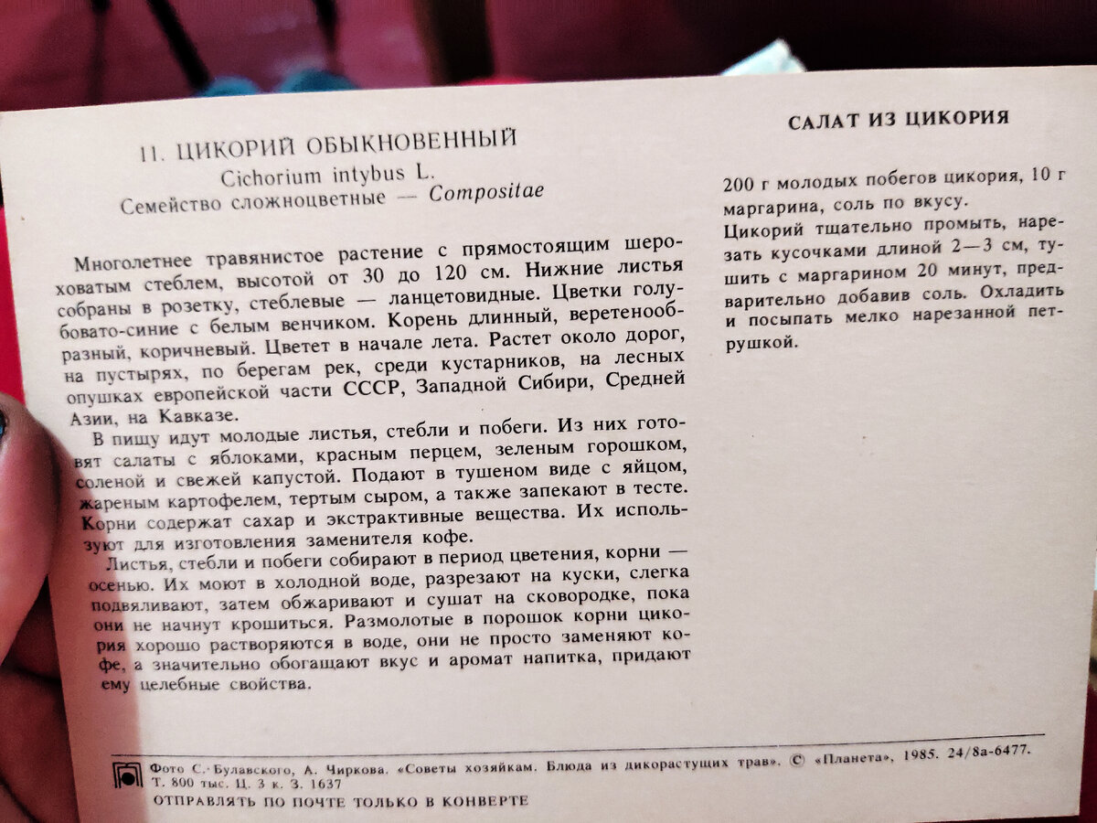 15 экзотических блюд советской кулинарии. Это вам не каша из топора. Рецепты  на открытках. | Читающий хомяк | Дзен