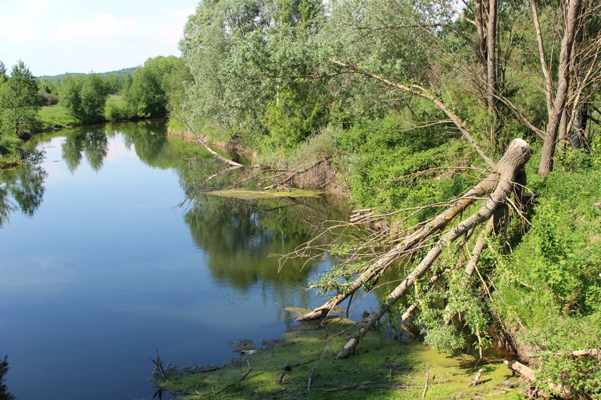 Село Хвощевка”. Городище, Кудьма и церковь Рождества Христова. | Забытое...  | Дзен