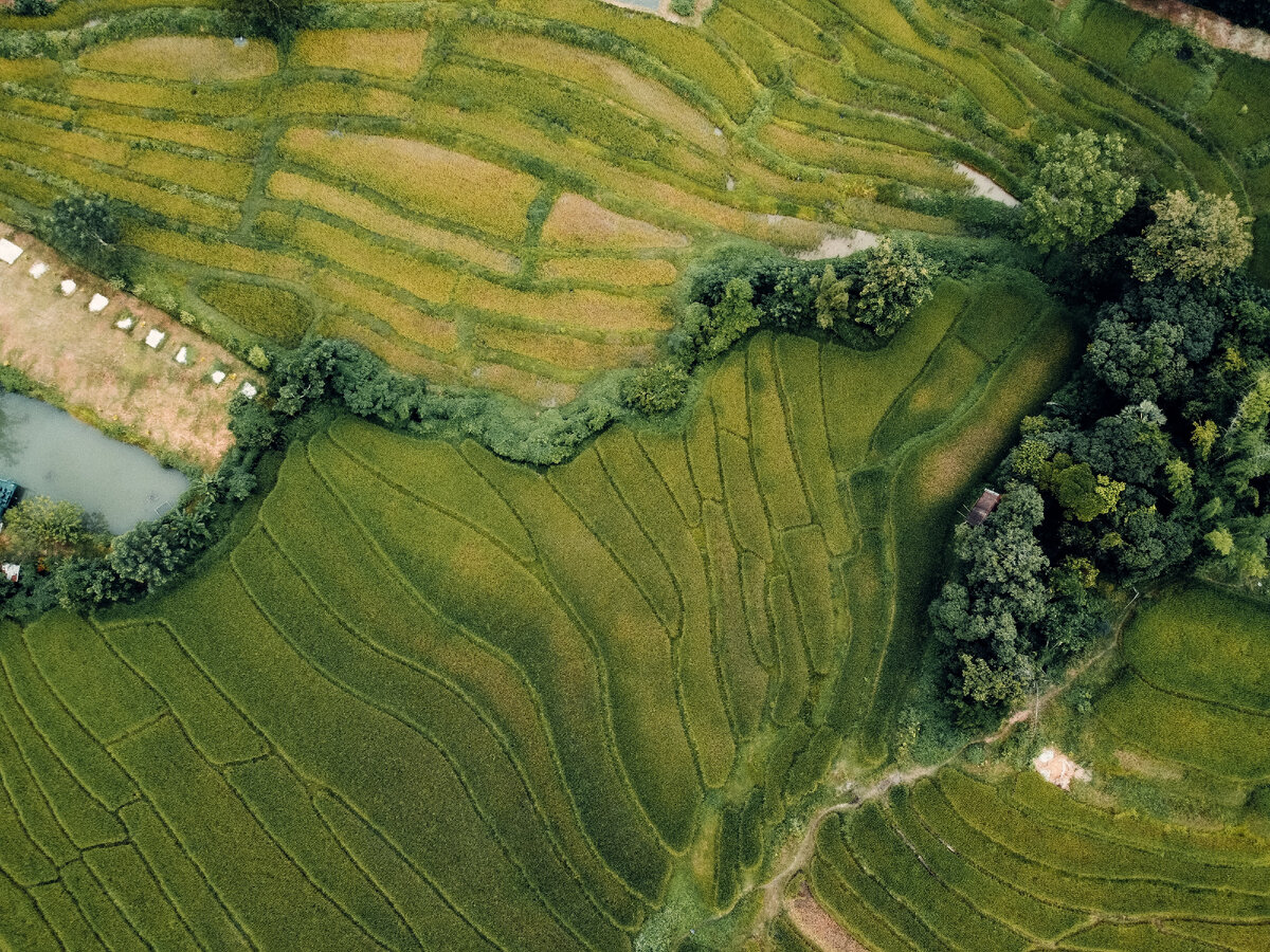 Фото с бесплатного фотоистока https://unsplash.com, автор Simon PALLARD