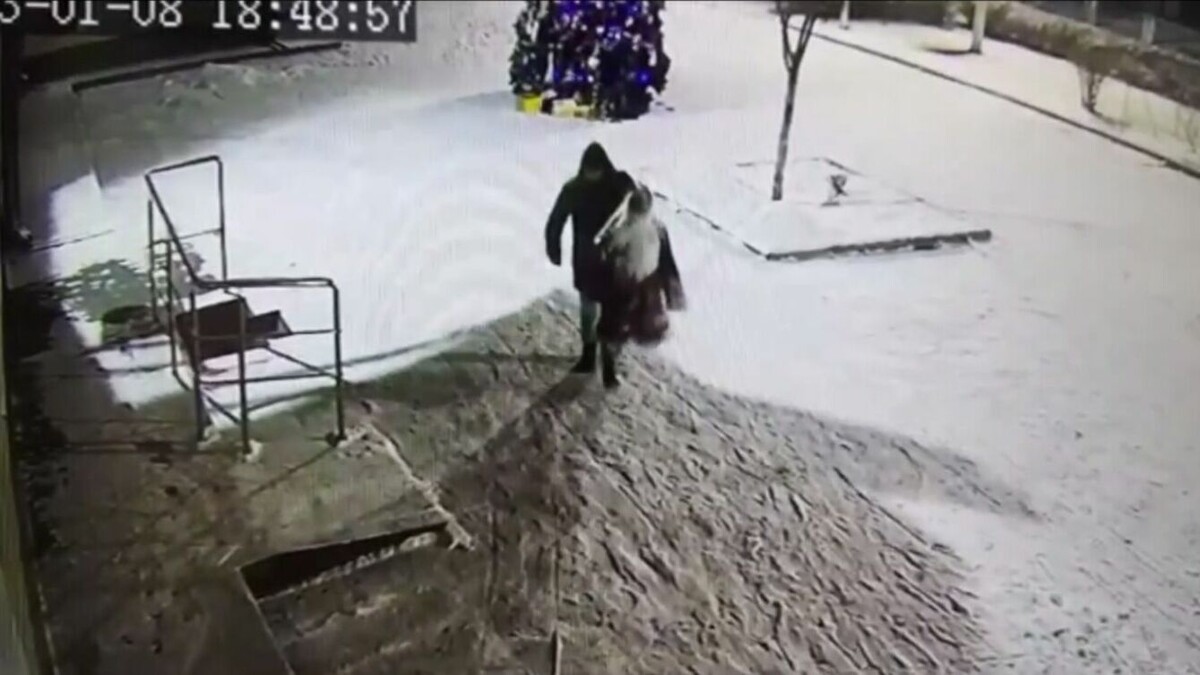     В Предгорном горокруге Ставропольского края идет розыск неизвестного, укравшего фигуру Деда мороза, сообщил глава администрации округа Николай Бондаренко.