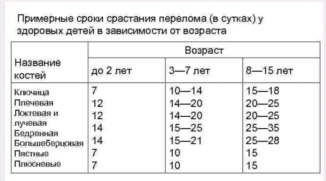 Перелом кости время срастания