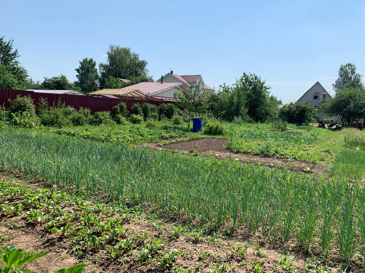 Земельные владения родителей