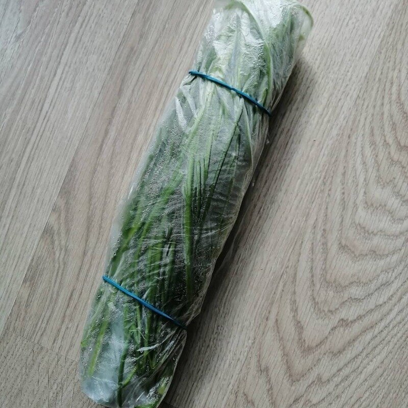 Фото https://www.instagram.com/p/CFZS0OYnikg/