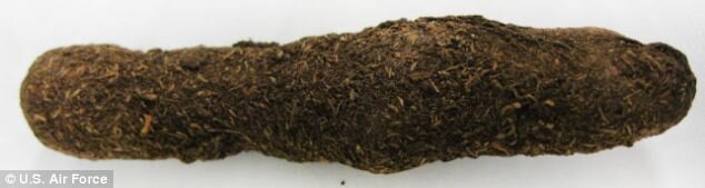 Источник https://www.dailymail.co.uk