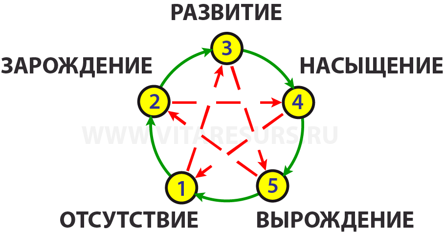 Универсальная схема пентадной логики