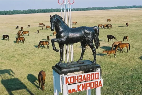 Источник фото сервис Яндекс.Картинки