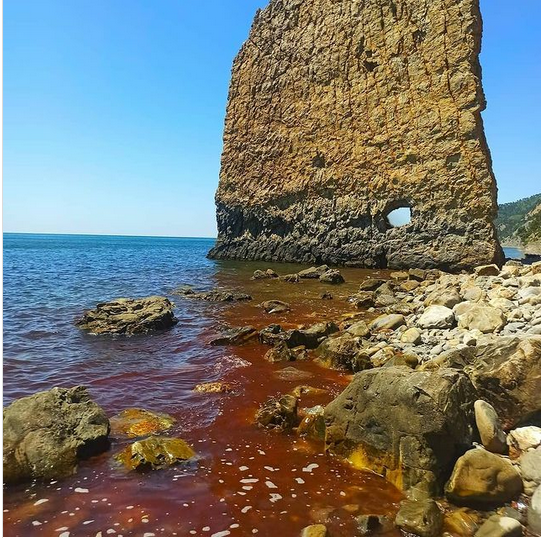 фото: wildfoto.ru