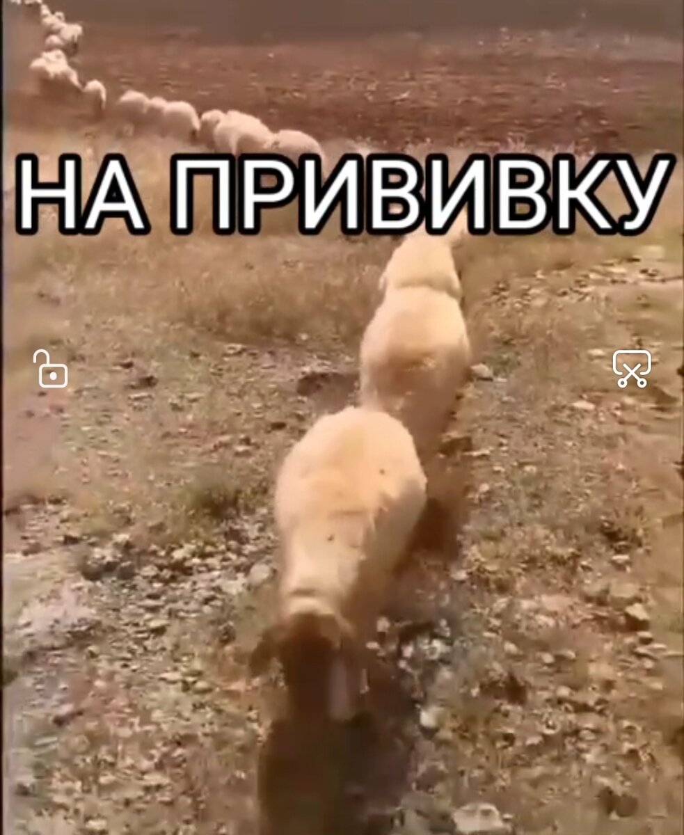 Фото из интернгалерея вчера