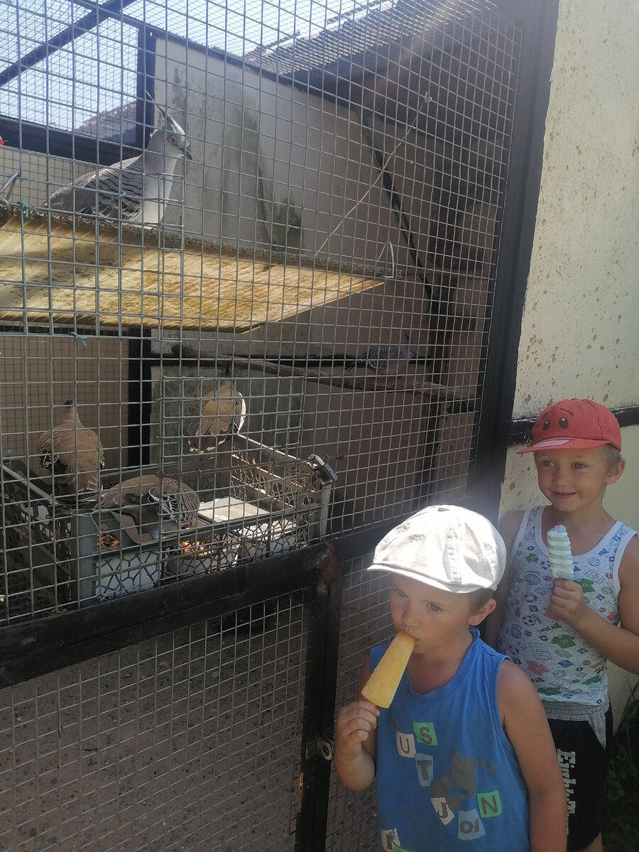 Парк-птиц Воробьи