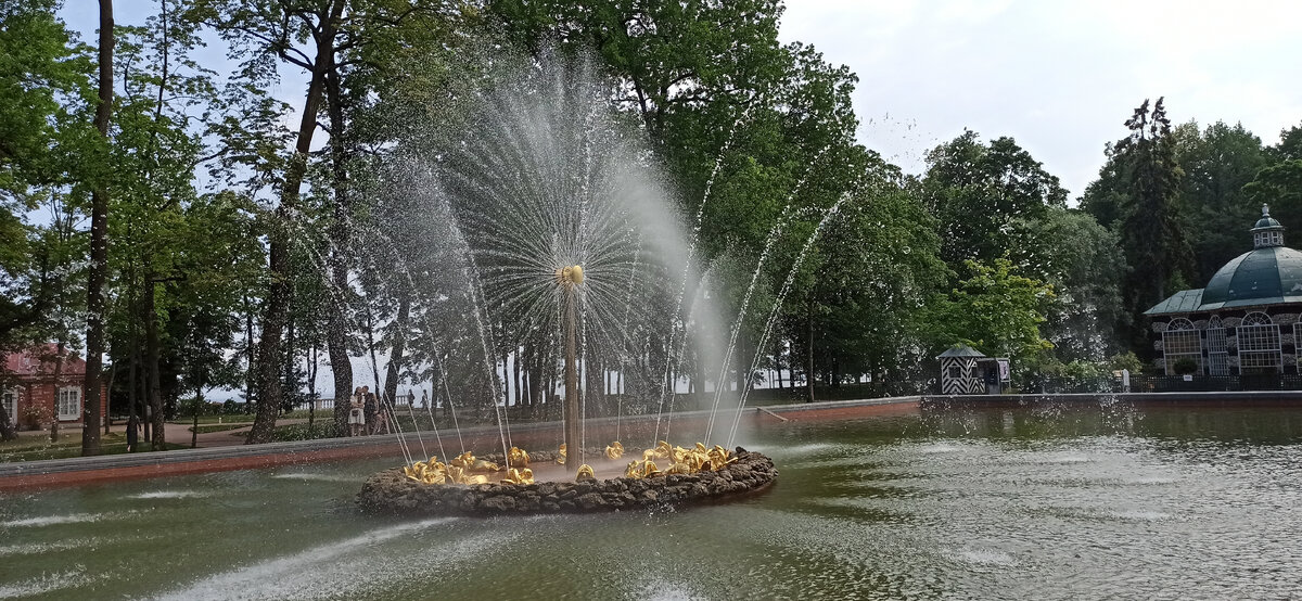 Фото из личного архива