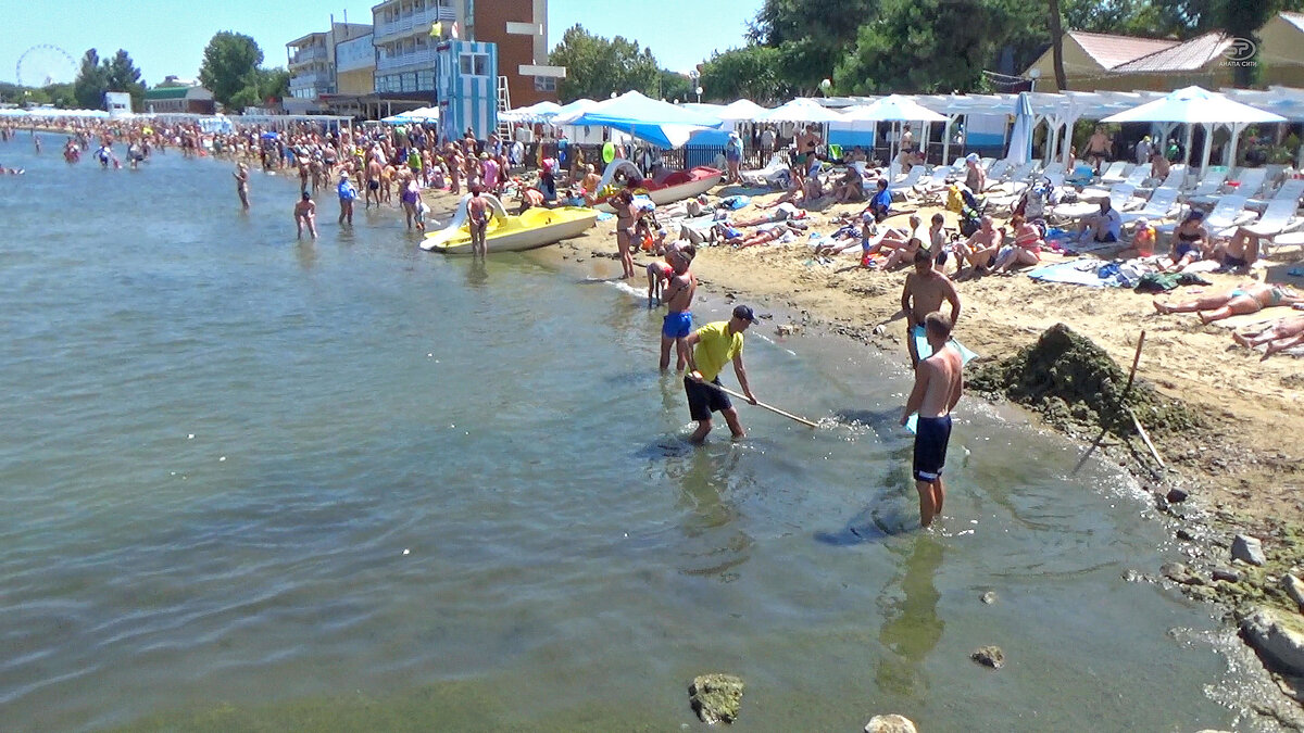 отдых конец июля. отдых конец июля. черное море анапа витязево. анапа витязево природа. обское море сейчас.