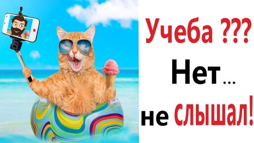 Лютые приколы! ШКОЛА??? НЕТ – НЕ СЛЫШАЛ!!! Тест на психику! Попробуй не засмеяться! – Domi Show!