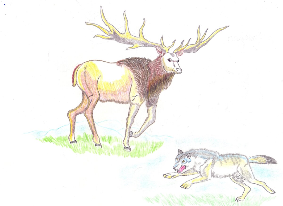 Северный олень сканворд 6. Большерогий олень. Большерогий олень вымершие животные. Большерогий олень поделка. Мегалоцерос картинки для детей.