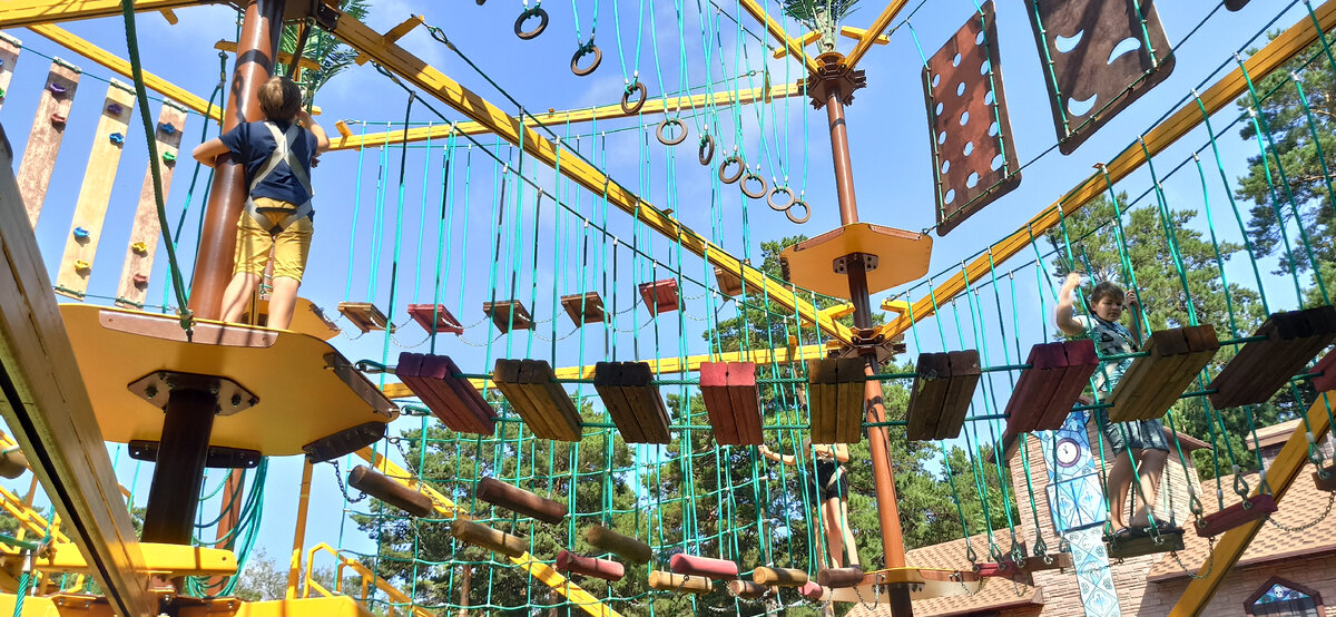 Проект в зоопарке имени Ростислава Александровича Шило