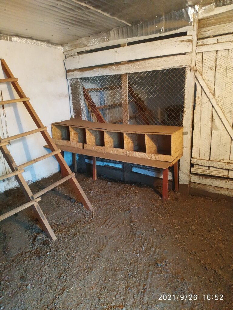 Мы убрались в курятниках