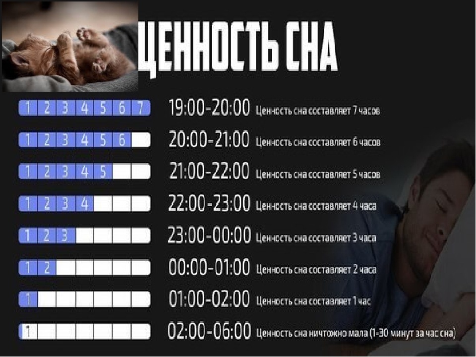 Вспомогательная информация №1