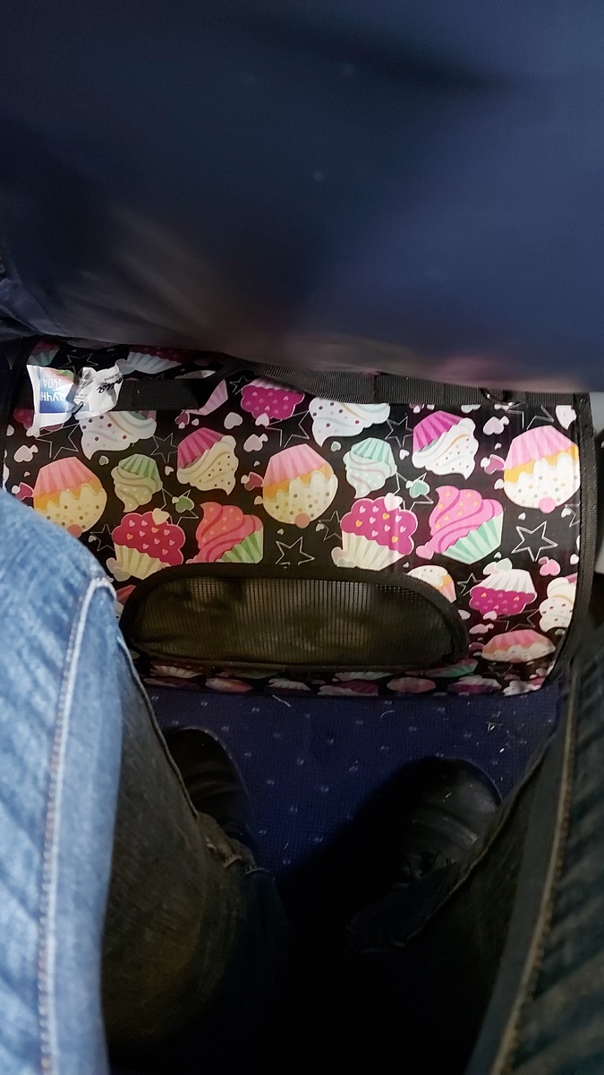 Видно что от пелёнки ничего не осталось