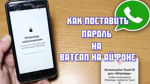 Как установить изображение профиля WhatsApp без обрезки [Руководство для начинающих]