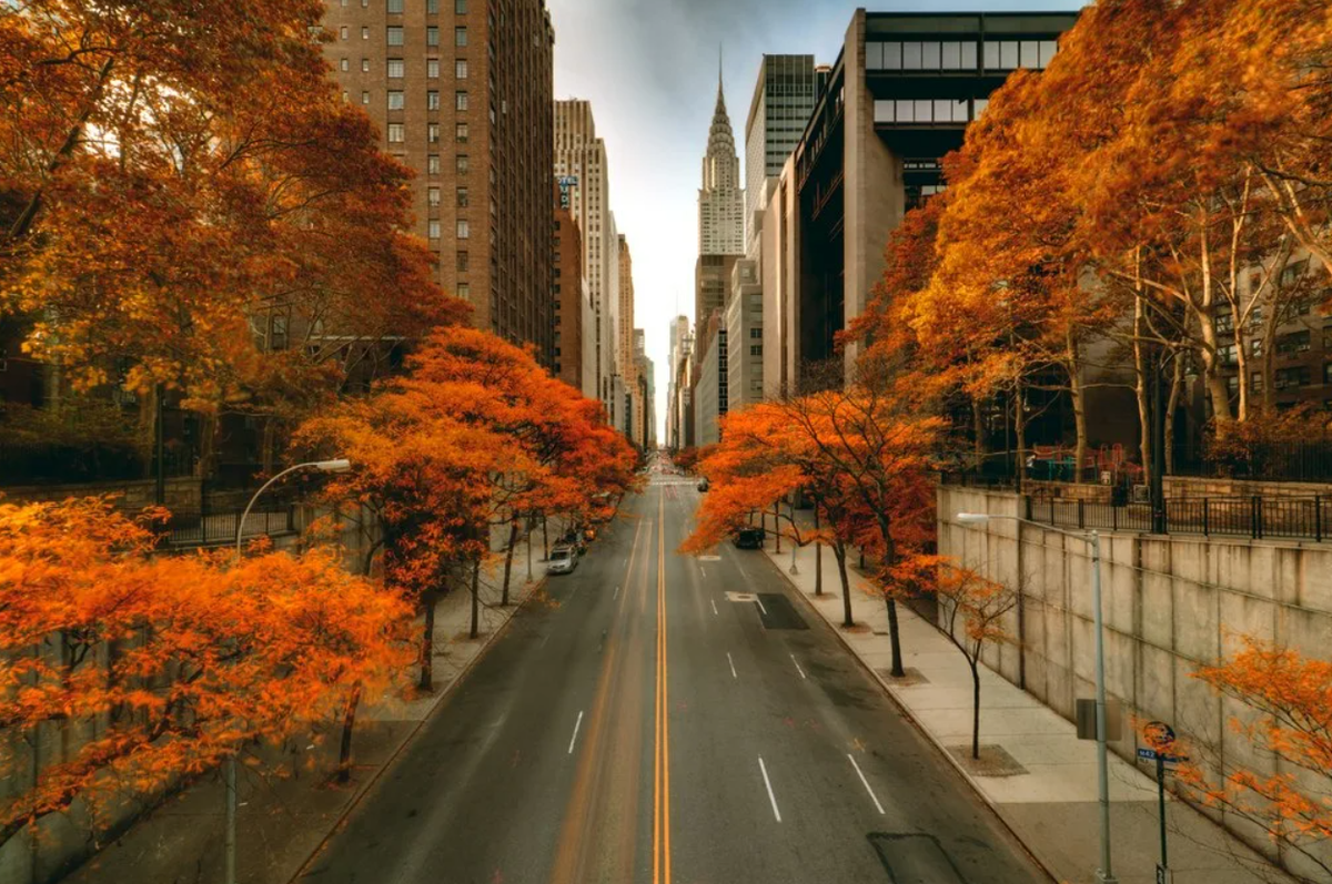 Beverly P. on Instagram Fotografía paisaje urbano, Paisajes, Fotografia paisaje