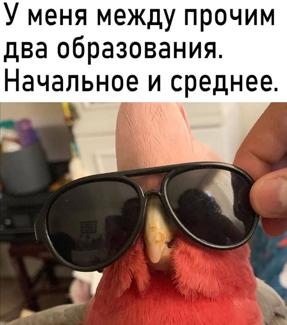 10001011
