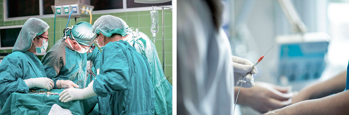 Картинки взяты с сайта https://www.pexels.com/ru-ru/