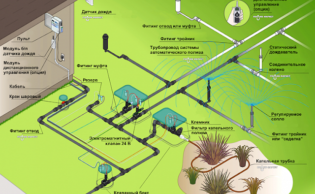 Как развернуть умную систему автополива на даче