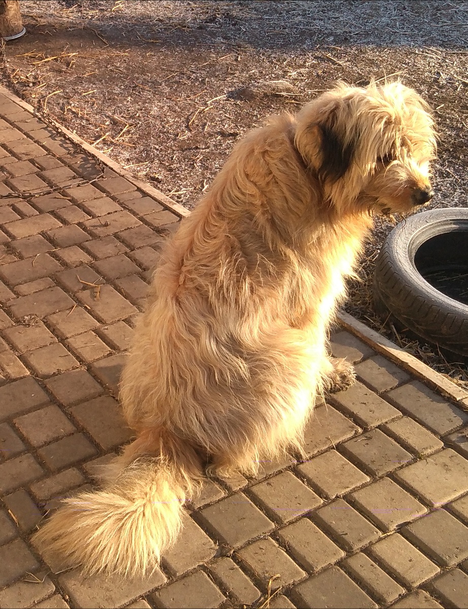 К этой бы красоте, да ещё бы хитрости немножко