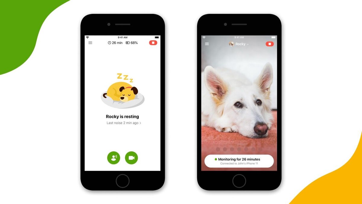 Фото: barkio.com 