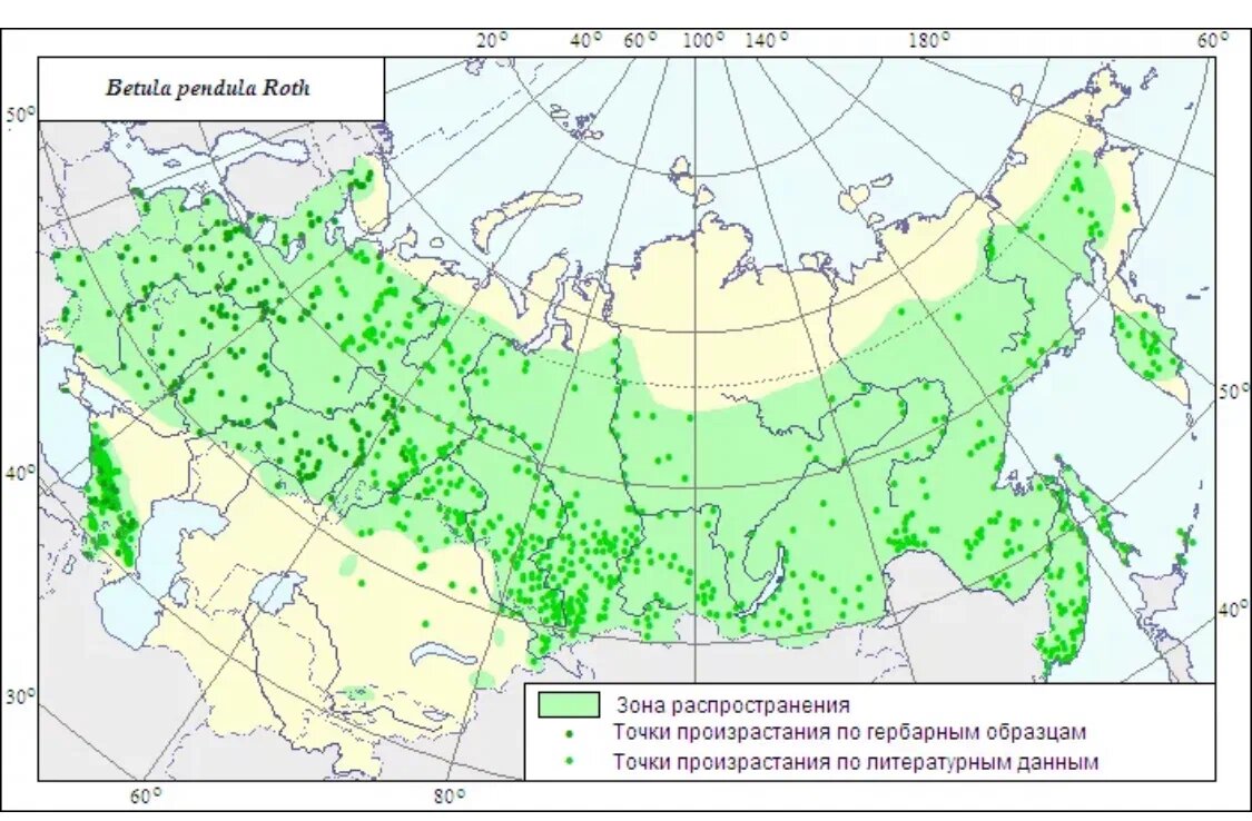 Карта где растет береза