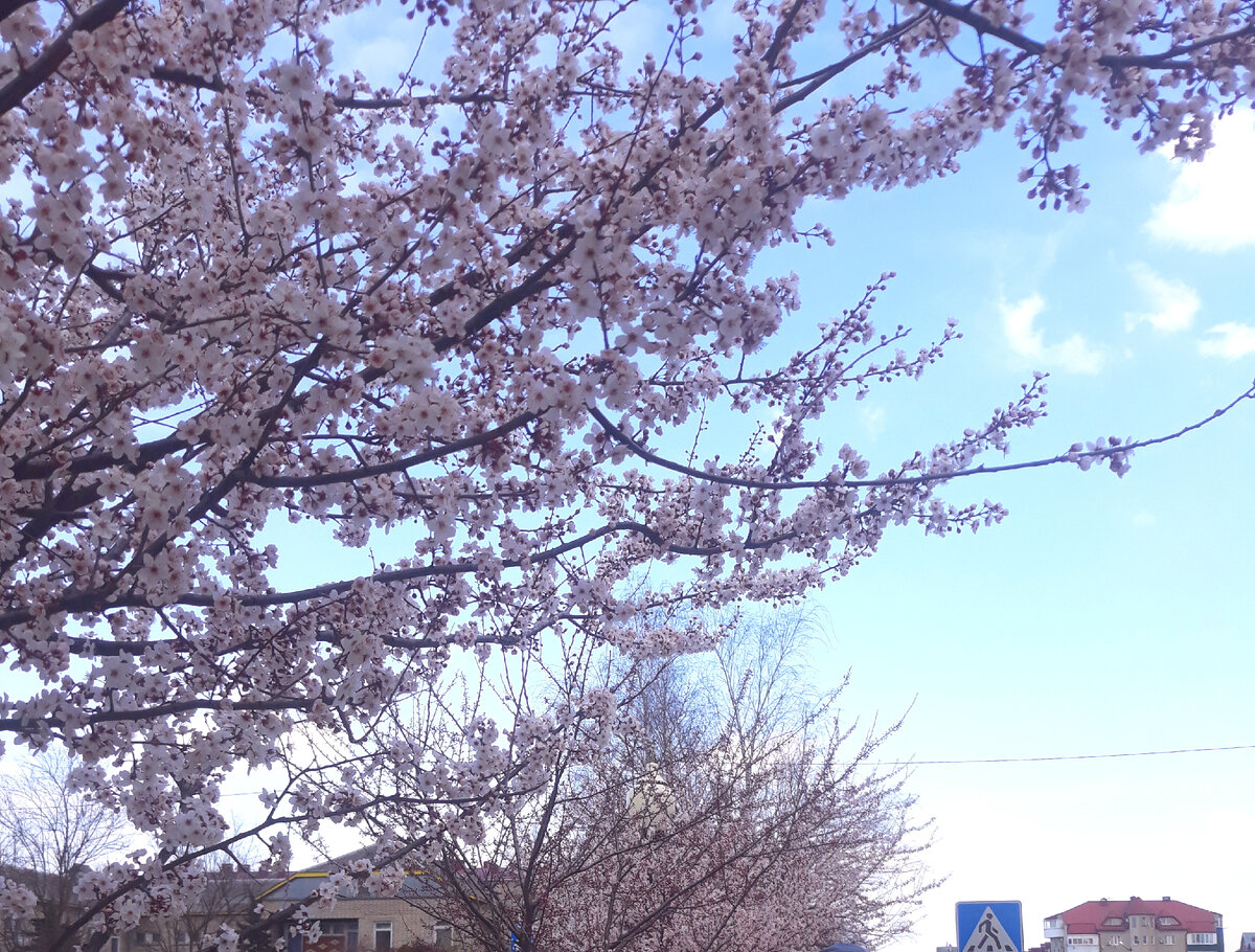 Март 2021 года