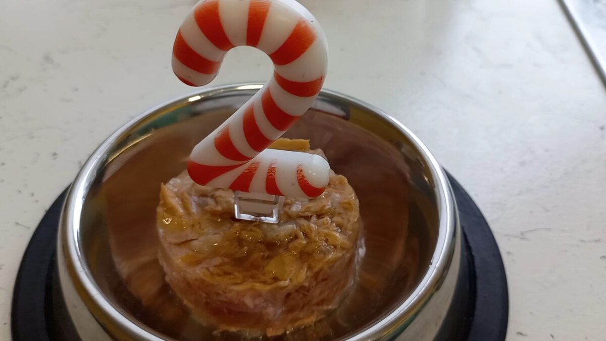 торт для кошки