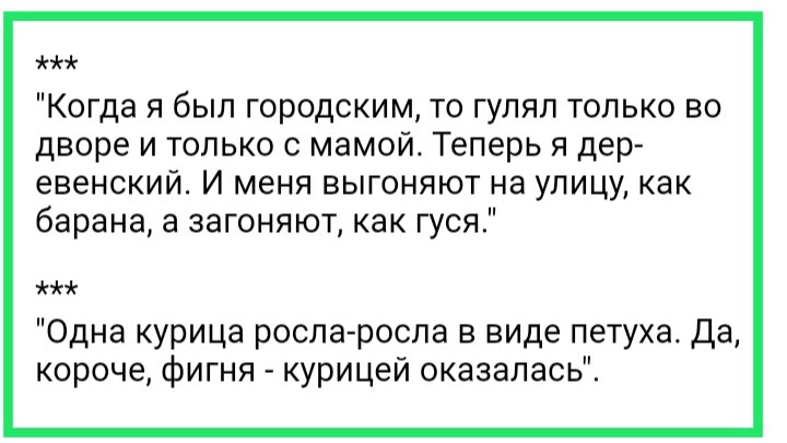 А вот перлы нашего старшего, вскоре после переезда из города в деревню. Архив автора. 2018 г.
