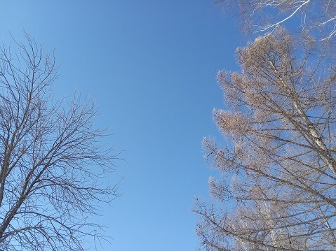 Фотография из личного архива автора