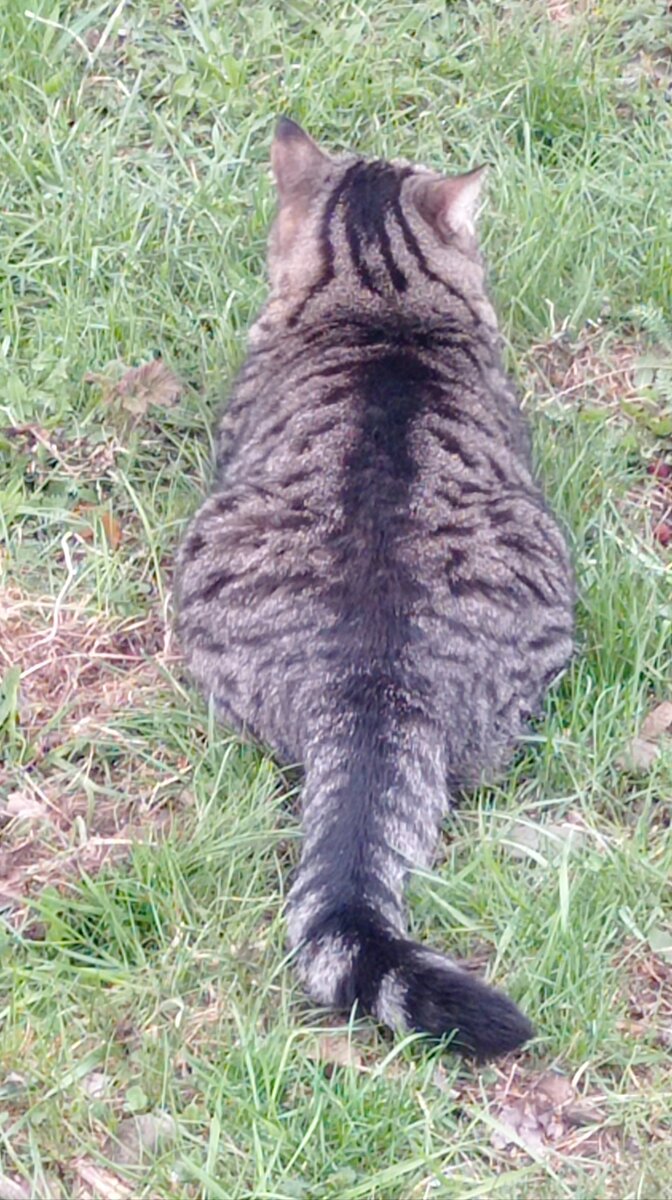 Ждун, где курьер? 